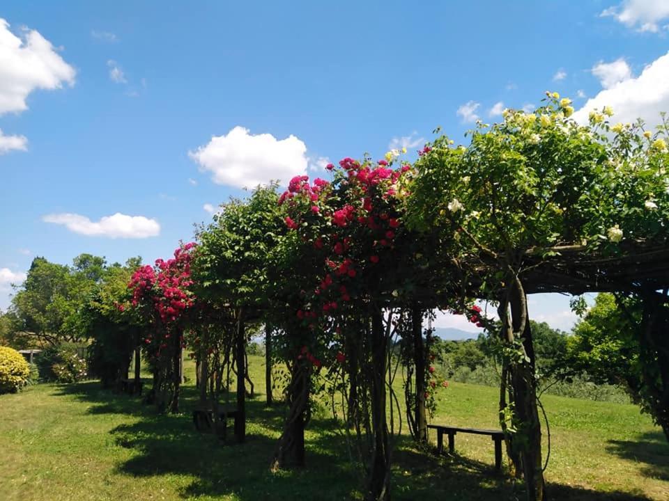 Locanda Rosati Orvieto Eksteriør billede
