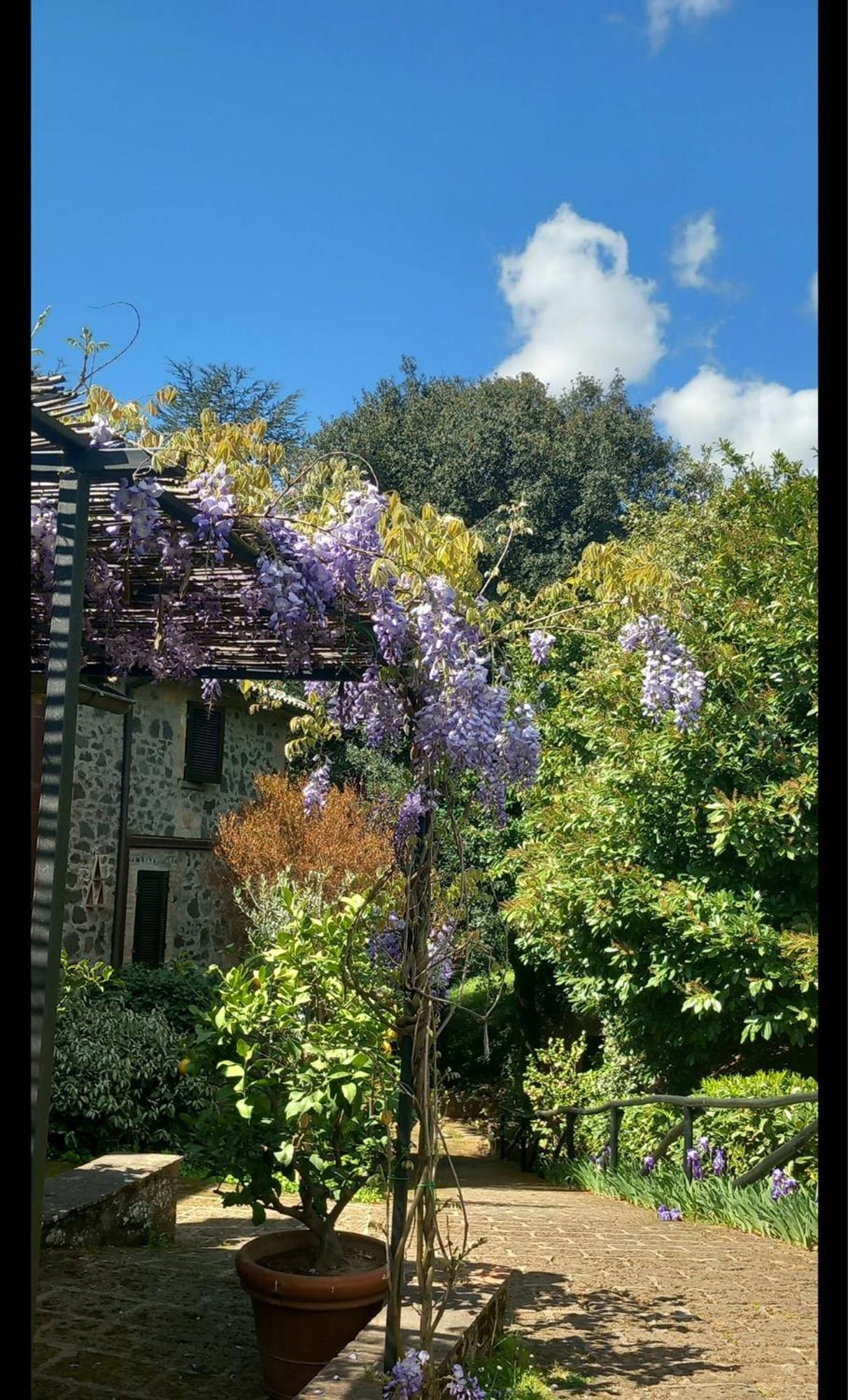 Locanda Rosati Orvieto Eksteriør billede