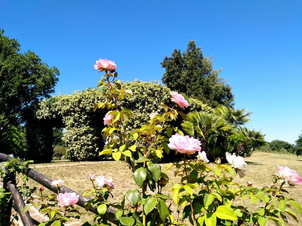 Locanda Rosati Orvieto Eksteriør billede